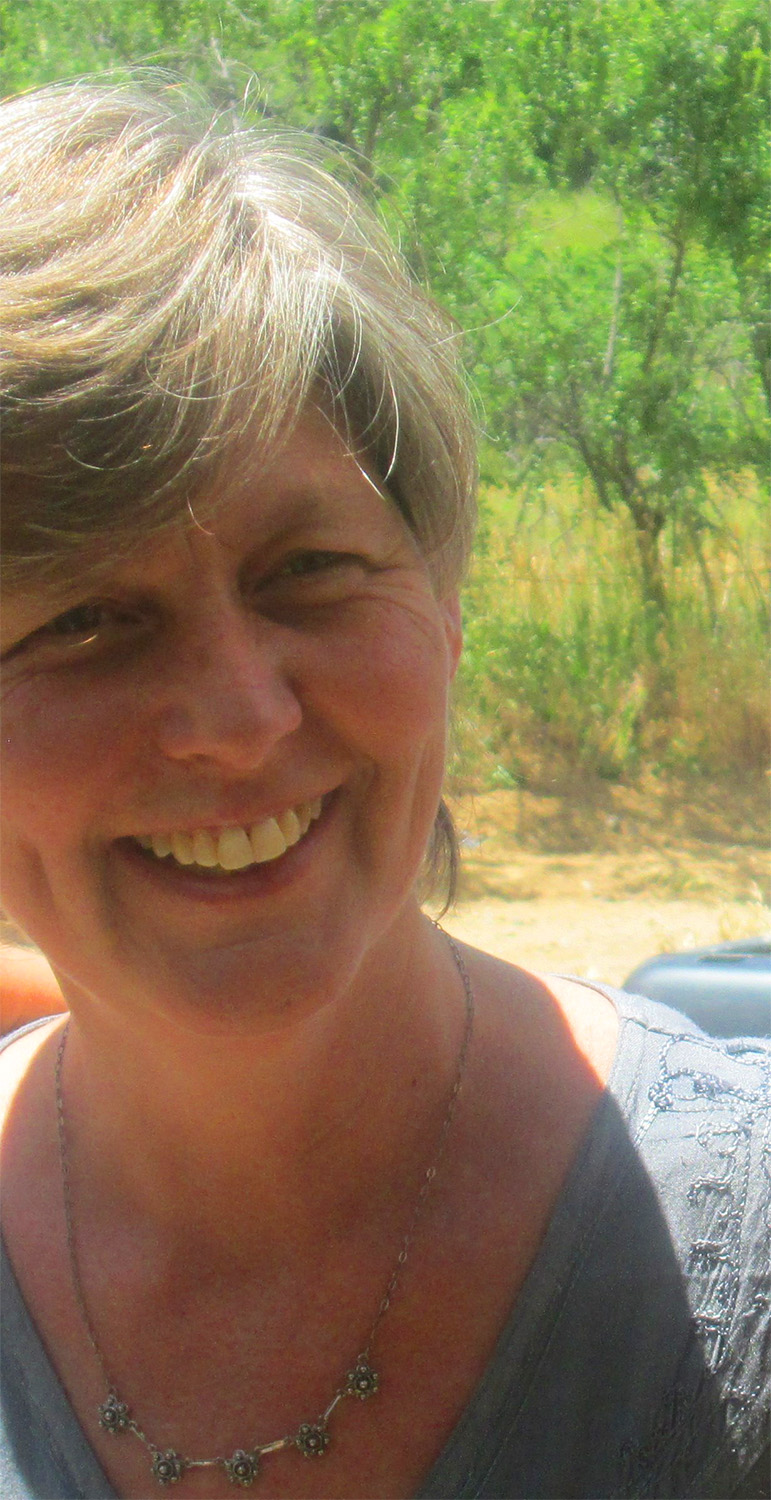 annette meserve bio writer author poet storyteller