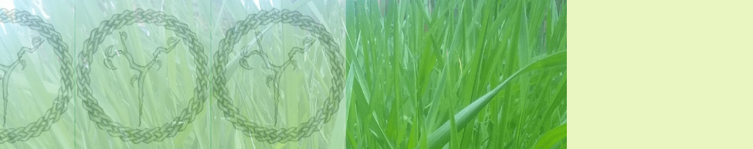 ynot graphic grass green